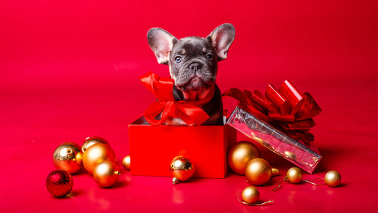 7 Taboo Gifts You Should Never Give for Christmas 🤯