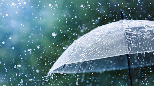 Umbrella Etiquette: 3 Tips for the Autumn
